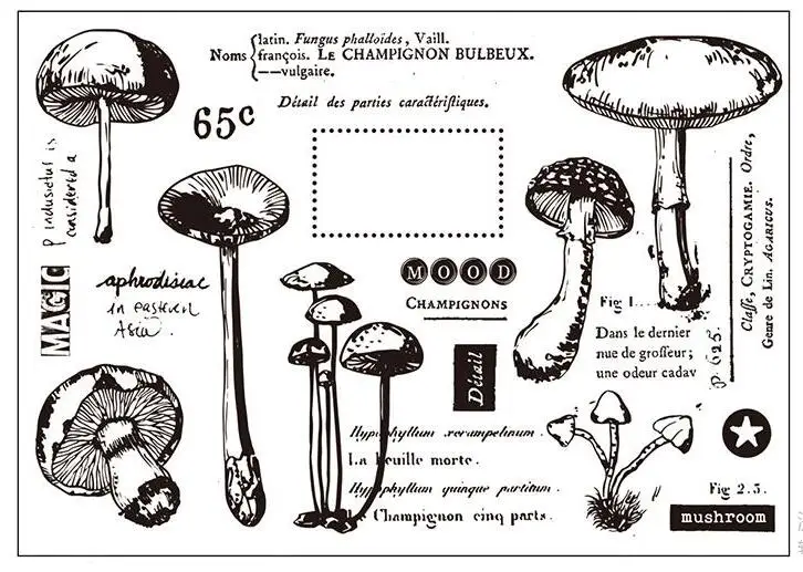 Grzyby transparentne wyraźne znaczki do majsterkowania Scrapbooking/tworzenie kartek zabawne materiały dekoracyjne A0011