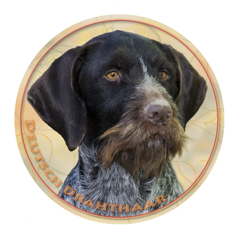 

S30307# 13CM/17CM PVC Decal Drathaar Car Sticker Waterproof Auto Decors for Bumper Rear Window Laptop