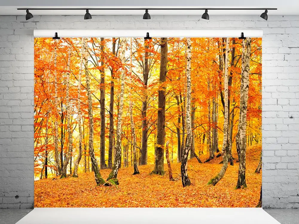 

VinylBDS 10x10ft Autumn Nuture Background Photography Fallen Leaves Back Drops For Photography Romantic Wedding Photo