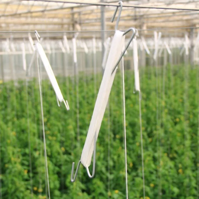 Greenhouse steel wire hanging hooks Fruit Tomato Garden Vegetable Grape Vines Trellis Fixed Buckle hanging Ear Hook rope