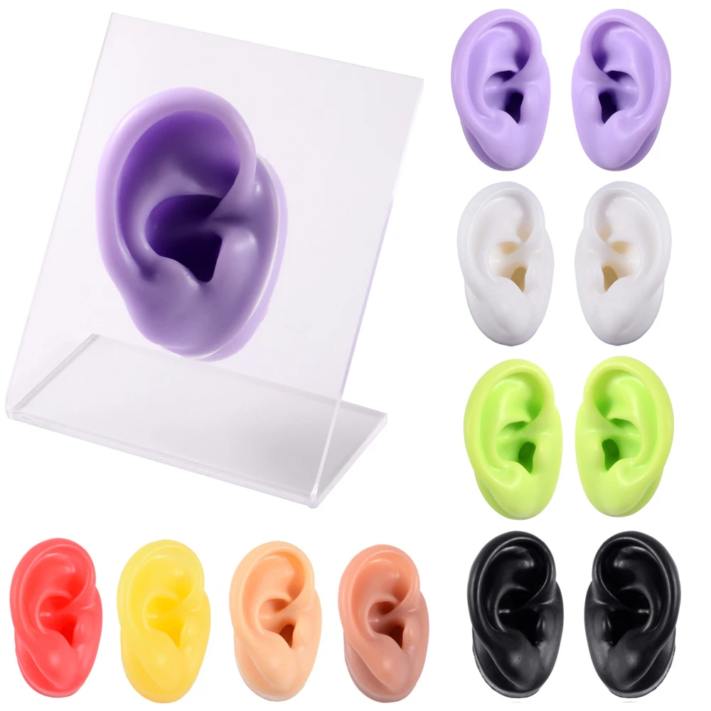 Colorful Silicone Ear Nose Model With Clear Board Professional Practice Piercings Tools Earring Display Can Be Reused Jewelry