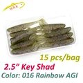 Rainbow AGI