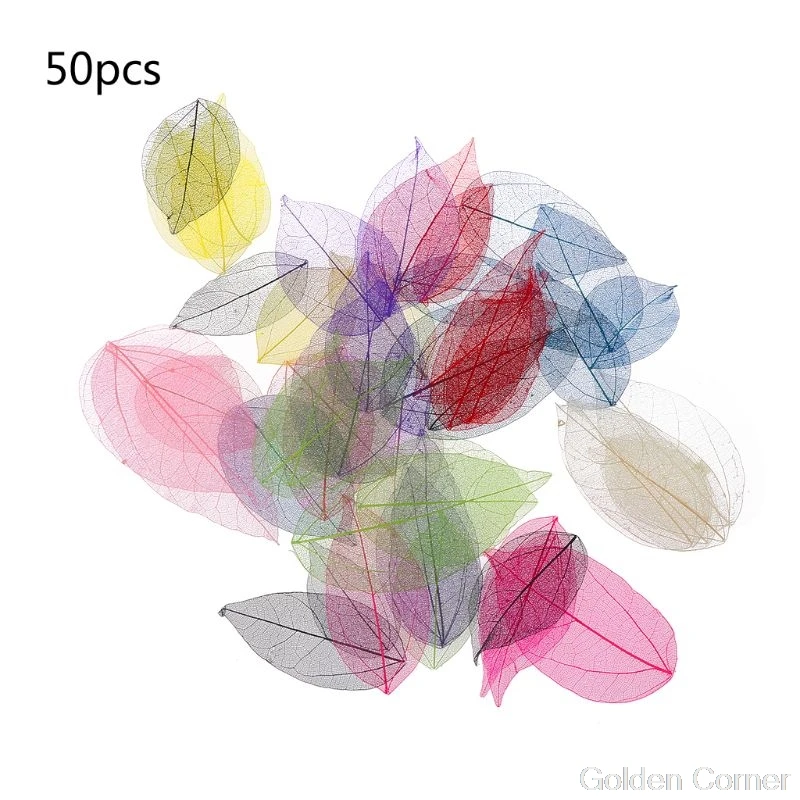 50 Pcs Mixed Color Natural Skeleton Leaves Pressed Flower for Jewelry Making Jy08 20 Dropship