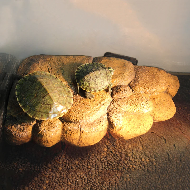 Turtle Platform Flo…