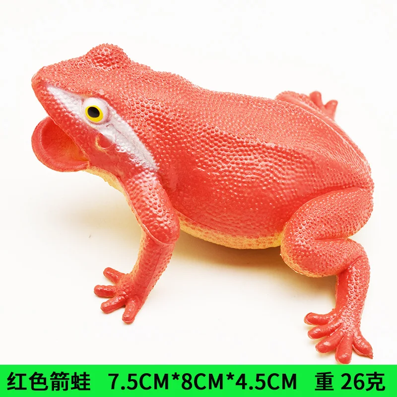 Simulation Frog Model Children\'s Cognitive Animal Props Toys Tropical Rain Forest Toad Poison Frog Tree Frog Spoof Toy