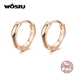 WOSTU Rose Gold Hoop Earrings 925 Sterling Silver Small Hoop Earrings For Women Wedding Original Silver 925 Jewelry CTE119