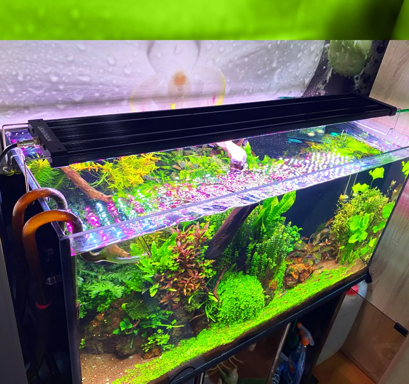 Imagem -02 - Licah-aquarium Plant Growing Led Light Ldp1000