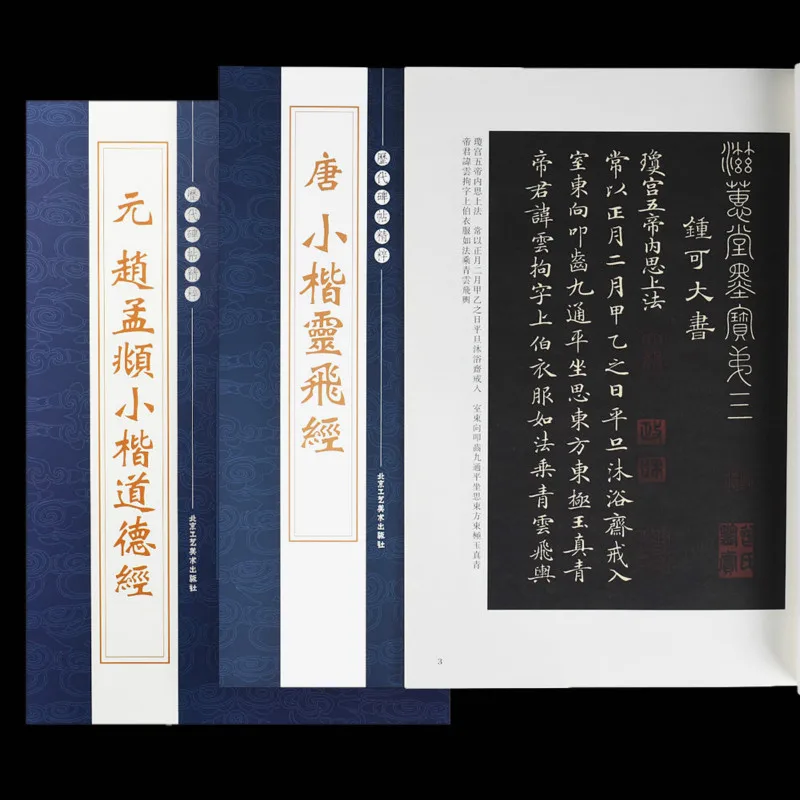 Chinese Calligraphy Book 2pcs/set Chinese Regular Script Brush Calligraphy Practice Copybook a Rubbing from a Stone Inscription