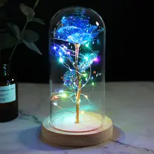 Colorful LED Night Light with Galaxy Rose #5