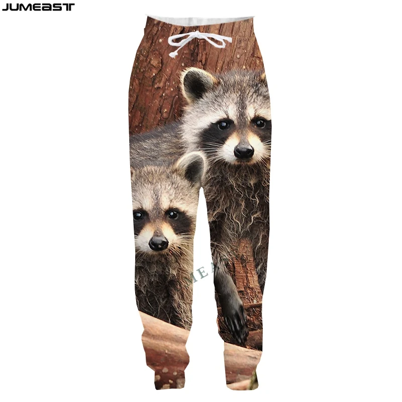 Jumeast Boy Gril Animal Raccoon Hunting Casual Kid Long Pants Children Spring Autumn Sport Pullover Length Sweatpants Trousers