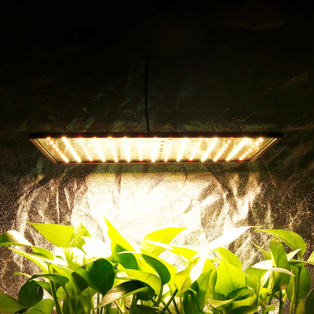 Spettro completo 1000W LED Pianta Coltiva Le Piante Luce Fitolamp Cultura Voli da Interno Semi Cultivo Growbox Tenda Serra Orticolo