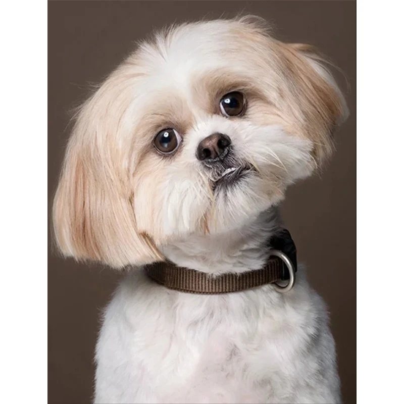 

Full Drill Square Diy Diamond Painting Cross Stitch Shih Tzu Cute Puppies Diamond Embroidery Animal 5D Diamond Puzzle Wall Decor