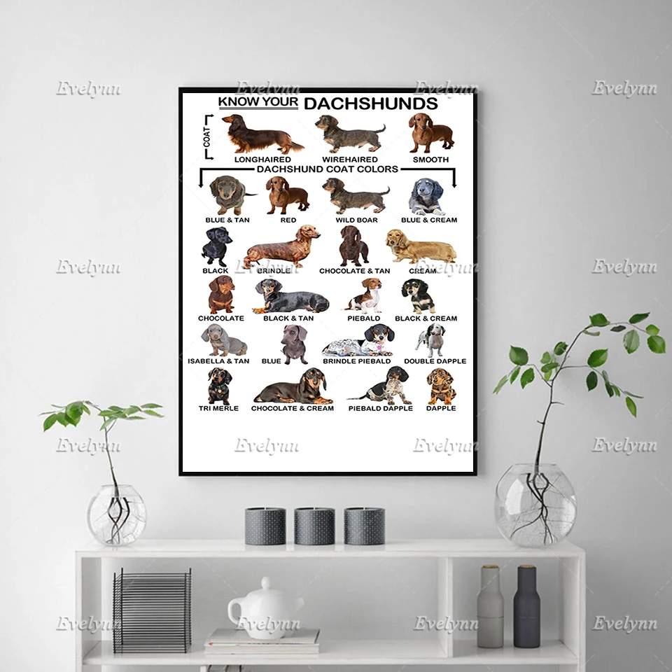 Dachshunds Poster, Dachshund Breed, Dog Lover Gift,Living Room Decoration Wall Art Prints Home Decor Canvas Floating Frame