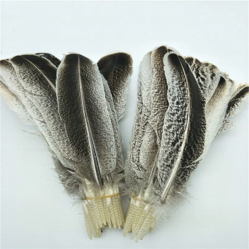 Wholesale Natural Eagle Feathers for Crafts wedding decoration  Carnival Plumes DIY Handicraft decor for clothes accessories