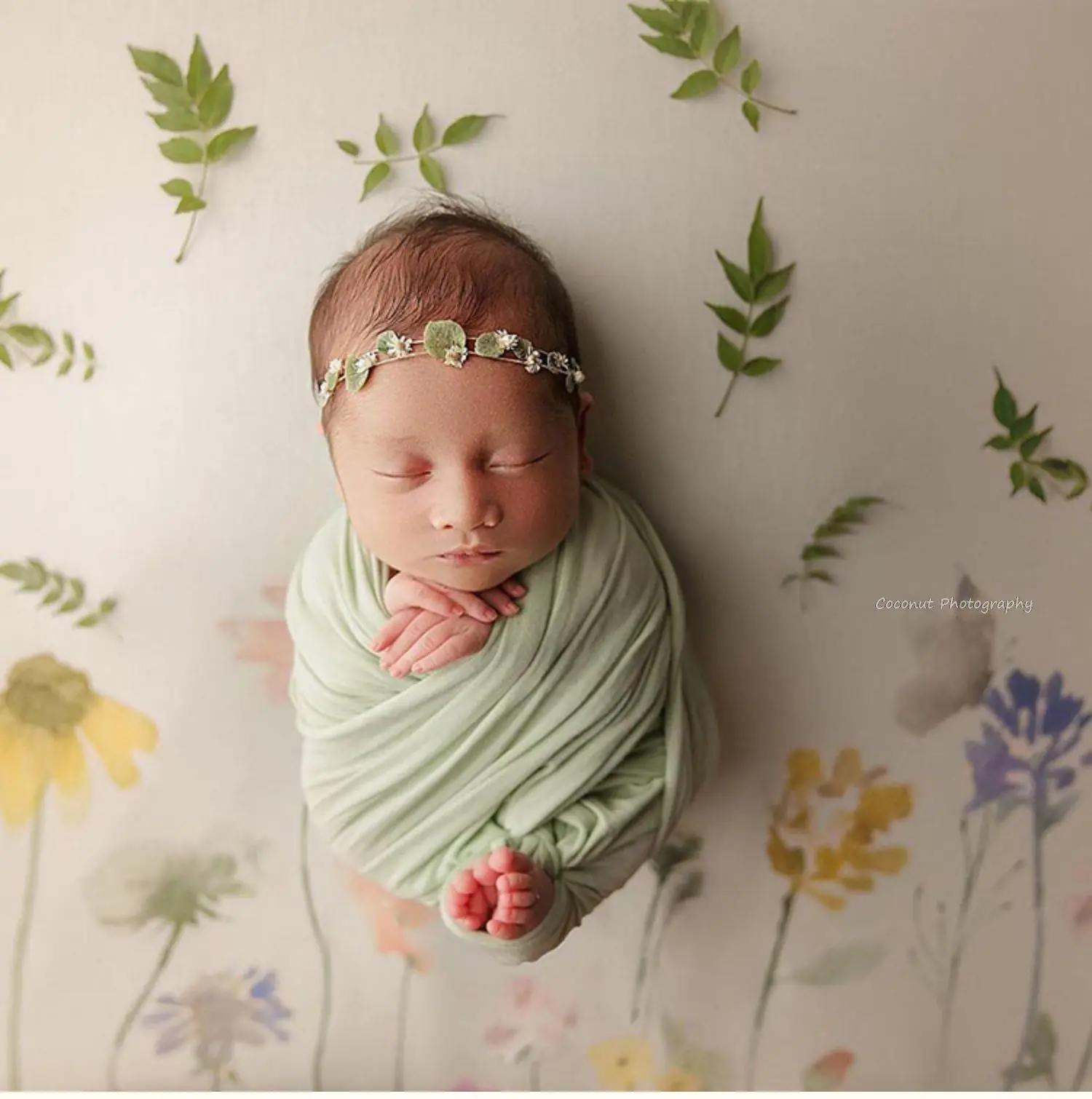 Coconut Newborn Photography Props  Fresh Daisy real flower headdress headdress baby full moon 100 days one year old baby