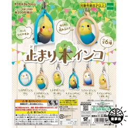 Mini Parrot on Ring Gashapon Toys Budgerigar Cockatiel Cute Q Version Action Figure Model Ornament Toys Phone Charms