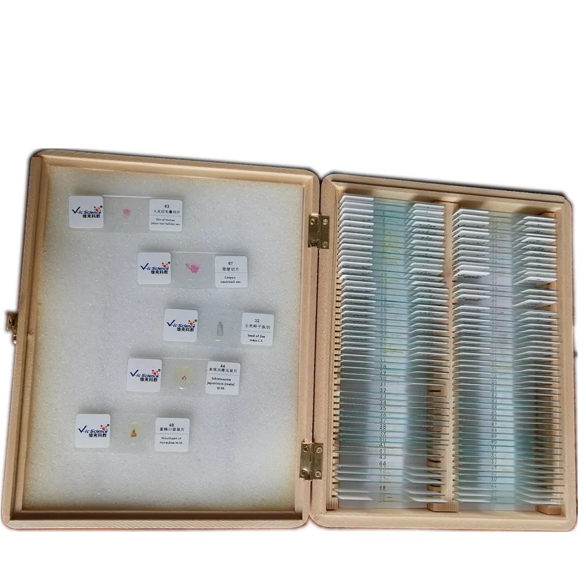 12 stücke Zwiebel Staubbeutel Meiose Rutschen Set