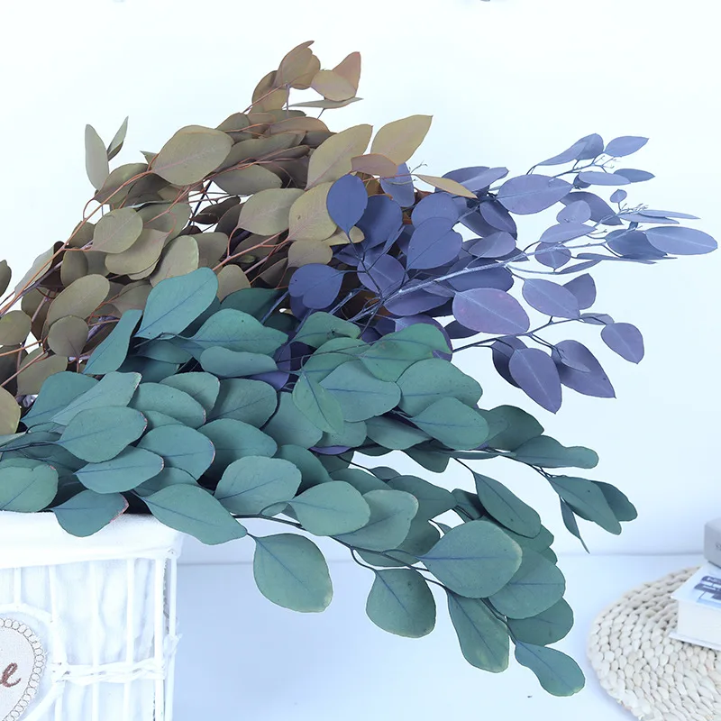 Eucalyptus Leaves Branches Stems Dried Flower Home Decor Wedding Decoration Sechees Wall PampasBalcony Decorations Plantas