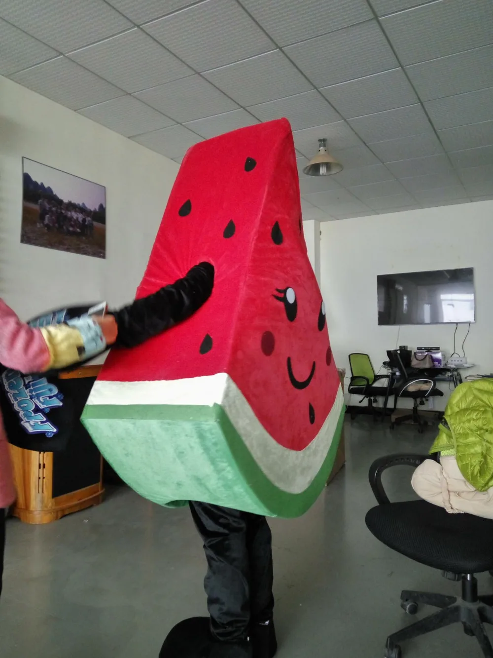 Ohlees watermelon mascot costume picture is example only,do custom according to customer design