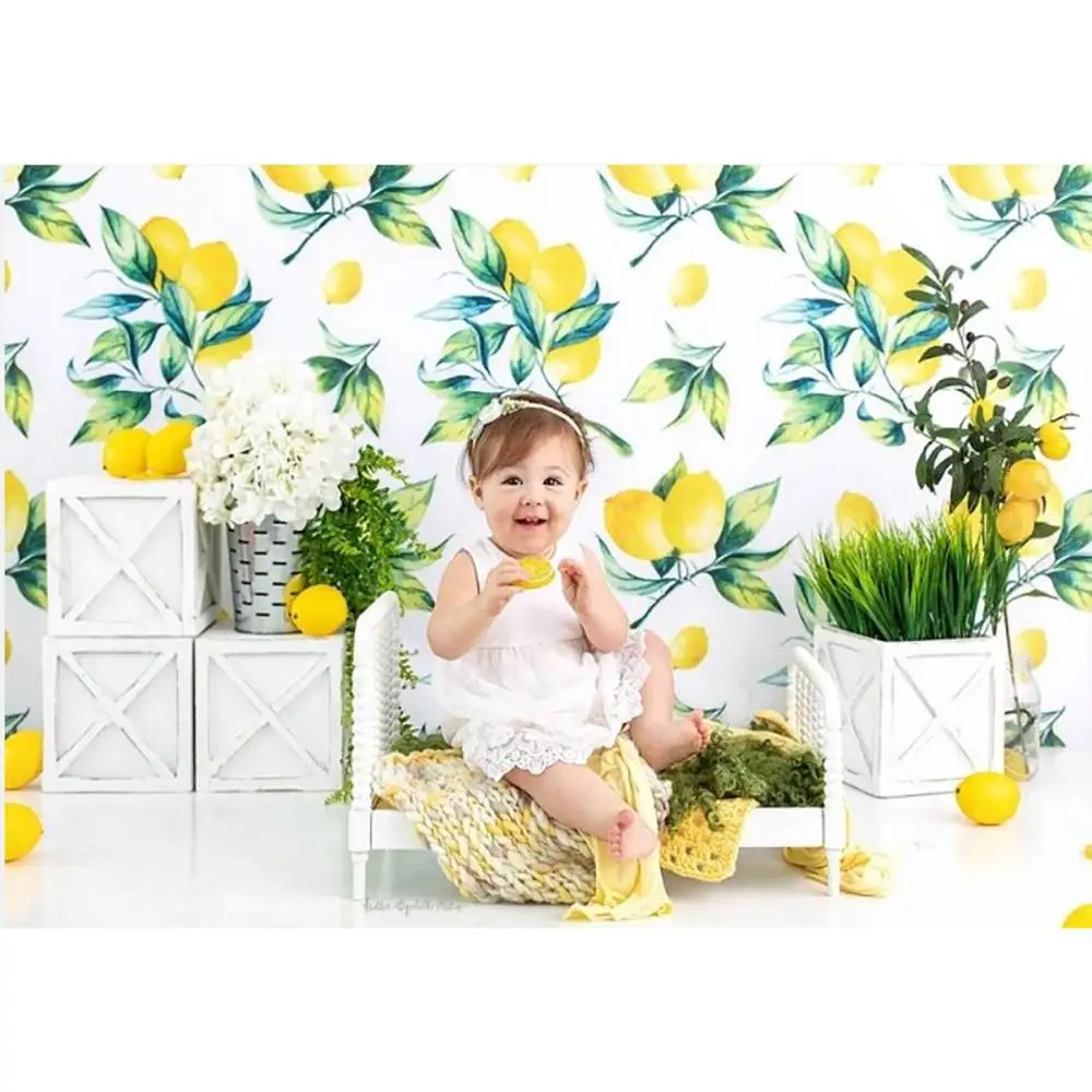 과일 테마 아이 사진 배경 레몬 수박 생일 딸기 케이크 스매시, 아기 어린이 초상화 사진 스튜디오 배경