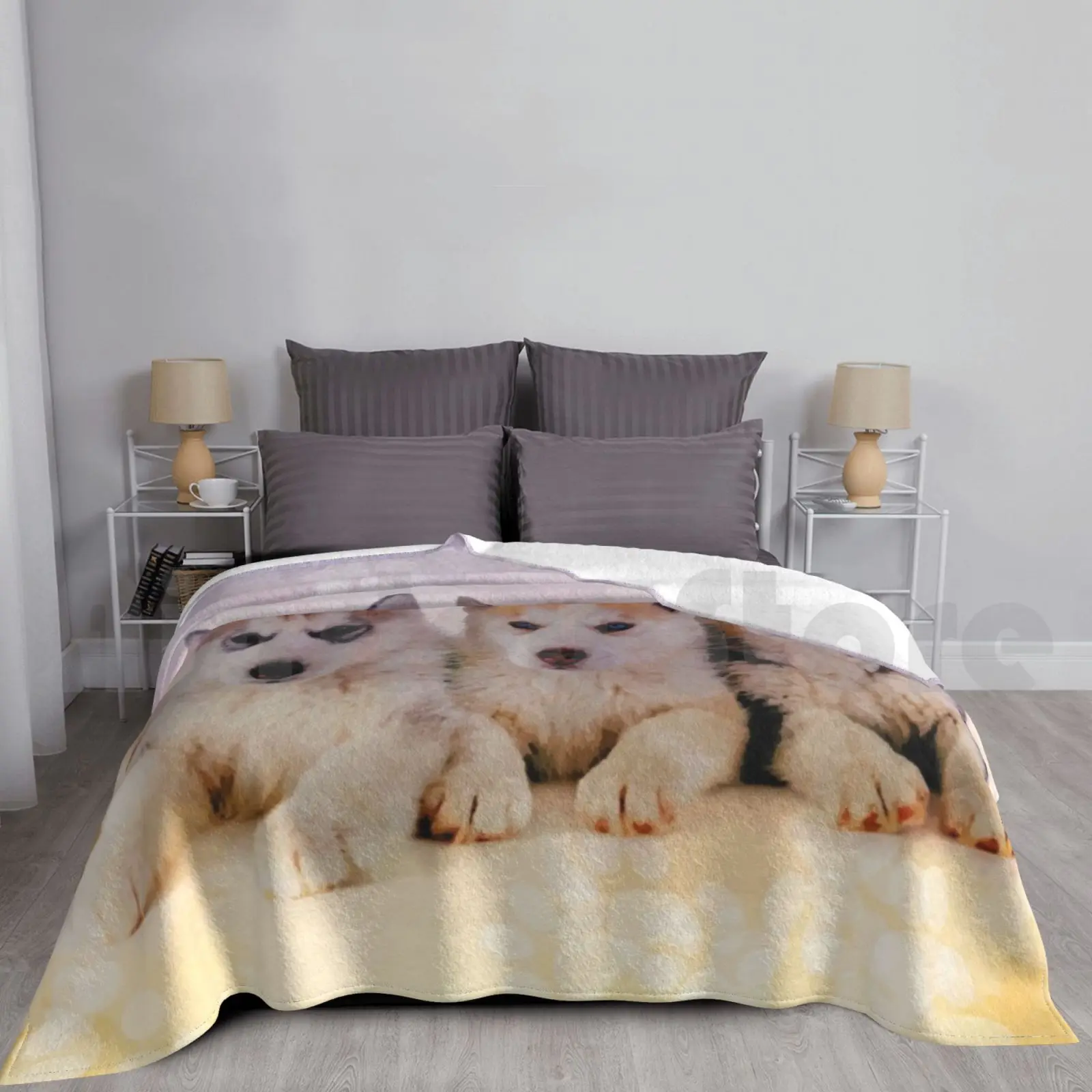 Siberian Husky Puppies Blanket For Sofa Bed Travel Husky Puppy Cute Puppy Siberian Husky Husky Sled Dog Malamute