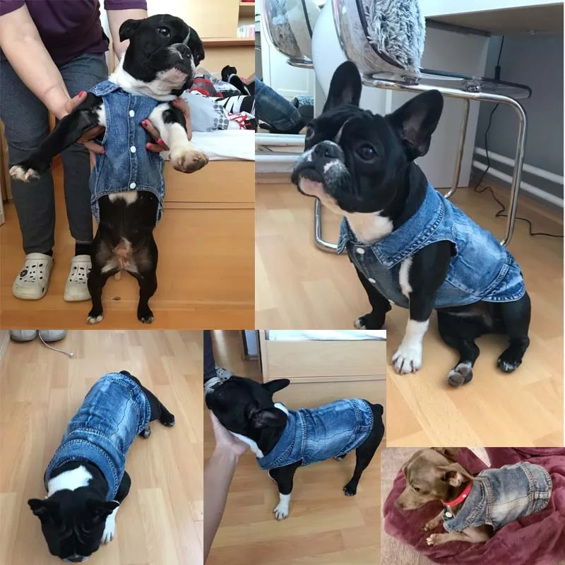 Denim Dog Clothes for Pitbulls Dachshund Fashion Dog Jeans Jacket  Blue Cowboy T-shirt for Shih Tzu Cool Apparel for Small Dogs