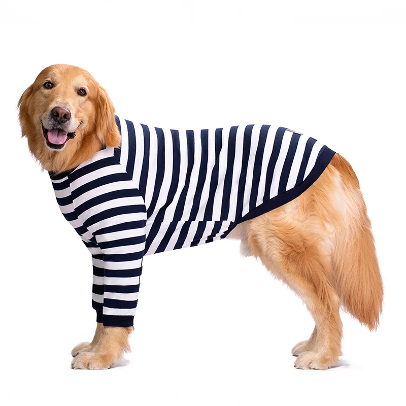 Cute Big Dog Clothes, Golden Retriever, Labrador, Medium and Large Dog Elbow Pads, Two-Legged Clothes, Autumn