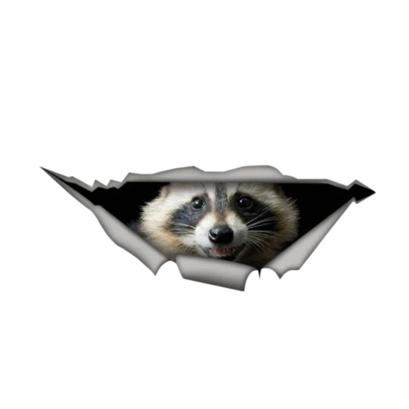 S50505# Various Sizes Personality PVC Decal 3D Raccoon Waterproof Car Sticker on Motorcycle Laptop