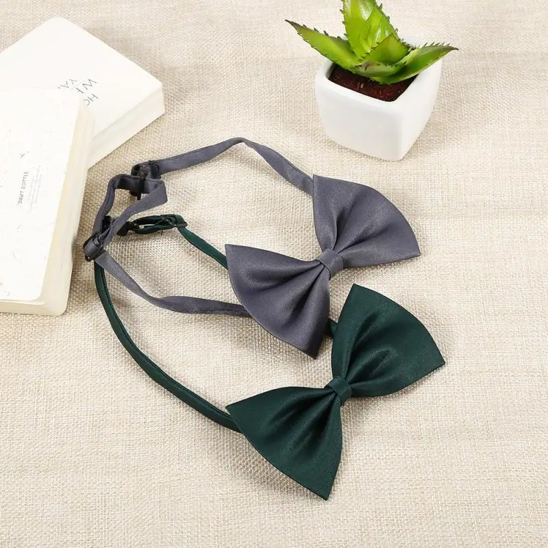 Noeud papillon de la présidence pour animaux de compagnie, nœud papillon mignon, document aléatoire, collier pour chat, accessoires de toilettage