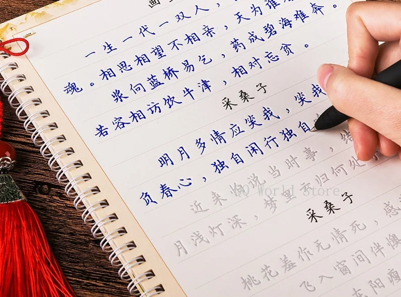 2 Books Chinese Regular Script Adult Love Poetry Calligraphy Auto Dry Repeat Practice Lu Pin Tang 3D Groove Copybook Pen Set