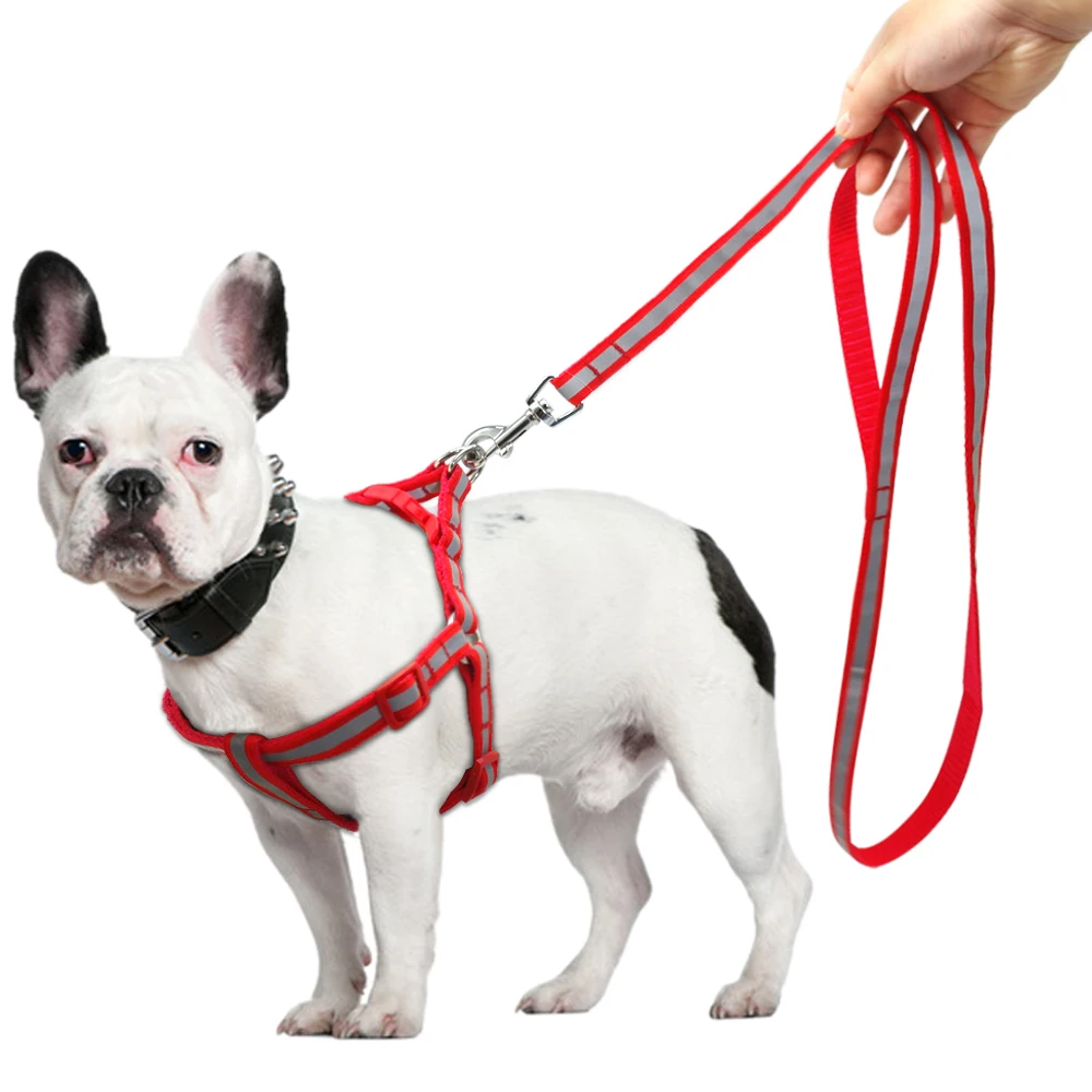 Reflektierendes Hundegeschirr- und Leine-Set aus Nylon für kleine und mittelgroße Hunde, Welpenleine, Chihuahua, Yorkie, 7 Farben – Detail 9
