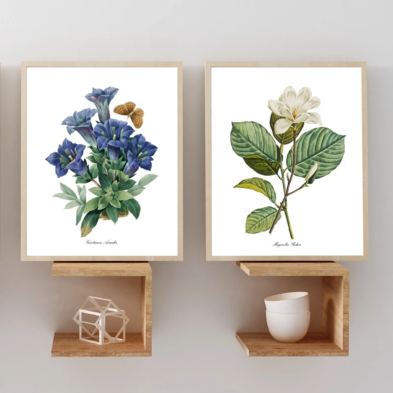 بي جي. ريدوت الزهور خمر الملصقات والمطبوعات العتيقة زهرة النباتية الفن حائط لوح رسم صور لغرفة المعيشة ديكور #3