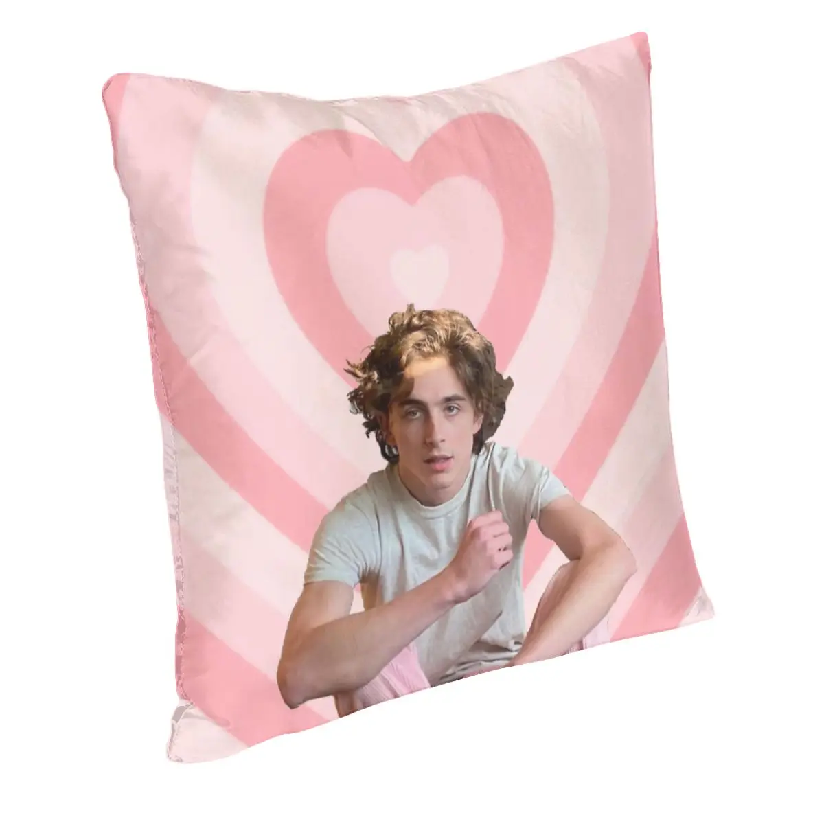 Timothee Chalamet Pillowcase Printed Polyester Cushion Cover Decor Pillow Case Cover Sofa Dropshipping 40*40cm