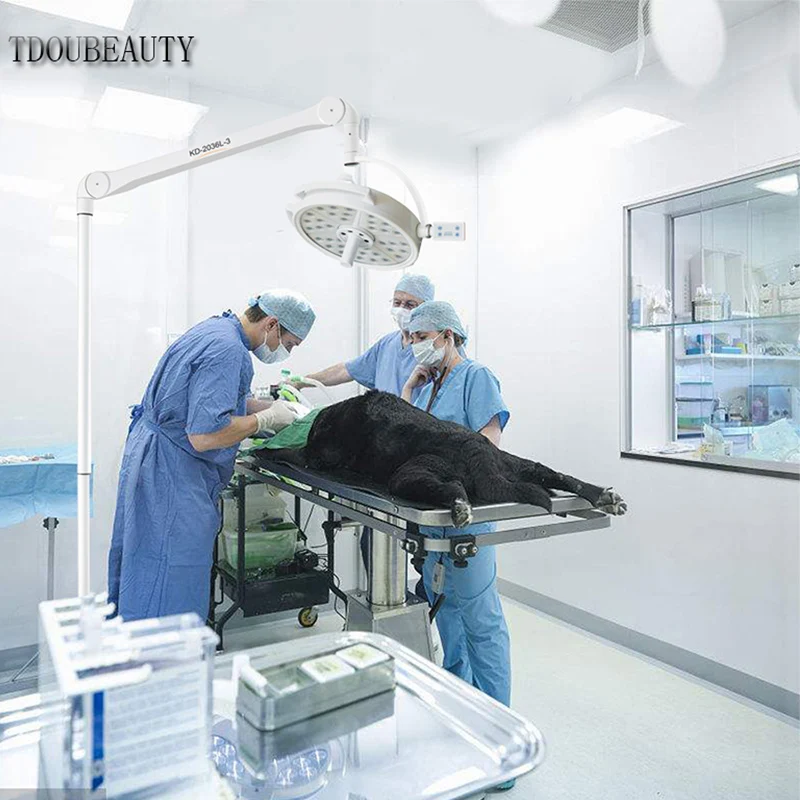 TDOUBEAUTY Super 108W Movable Floor Surgical Shadowless Lamp Pet Surgery Shadowless Lamp KD-2036L-3 Plastic Surgery Lighting