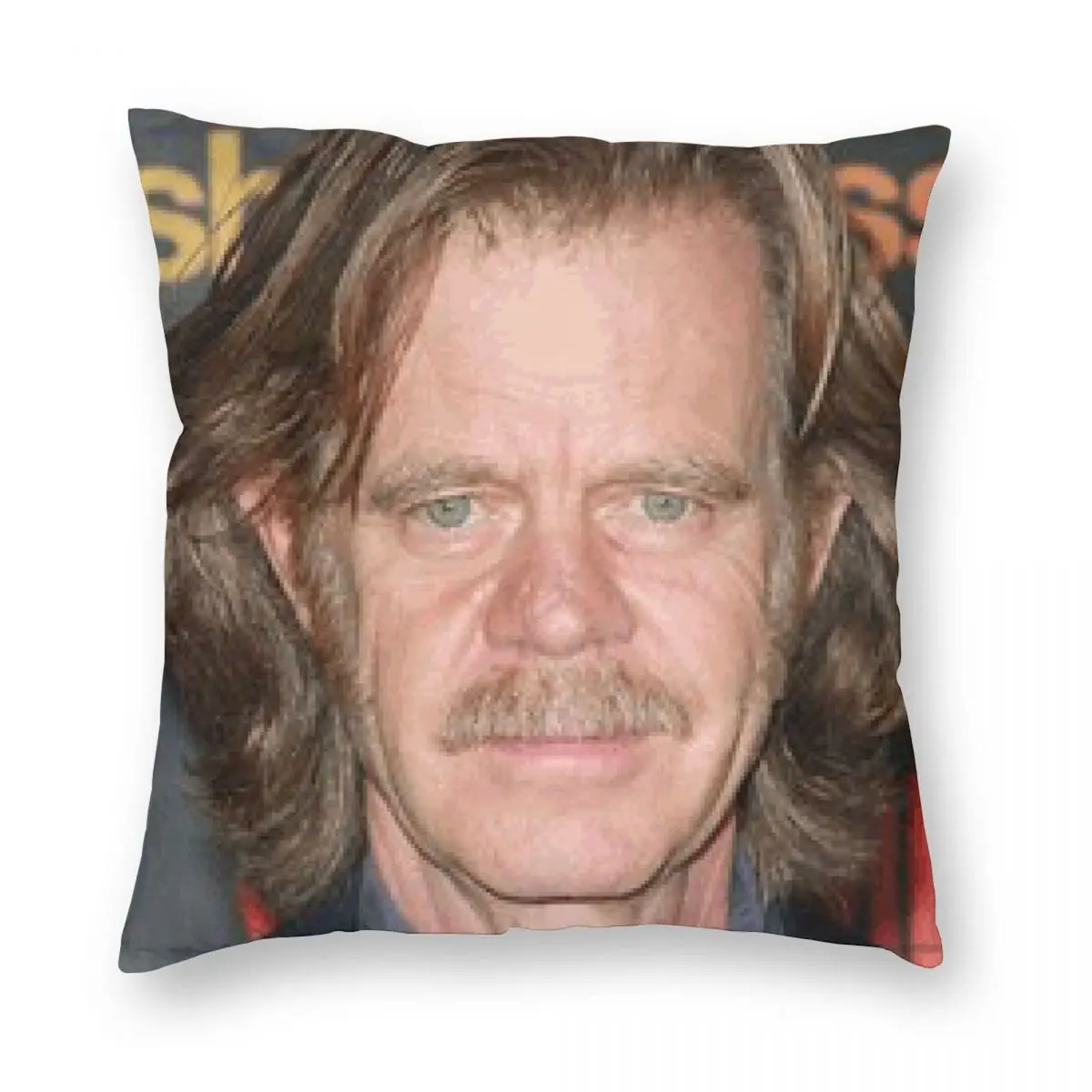 William H. Macy Square Pillowcase Polyester Linen Velvet Creative Zip Decorative Bed Cushion Cover Wholesale 18