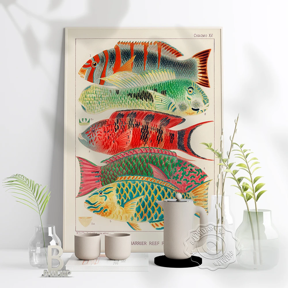 Australia Sea Fish Watercolour Sketches Retro Poster Cartoon Biology Painting Art Wall Pictures Kids Room Creche Home Decor Gift