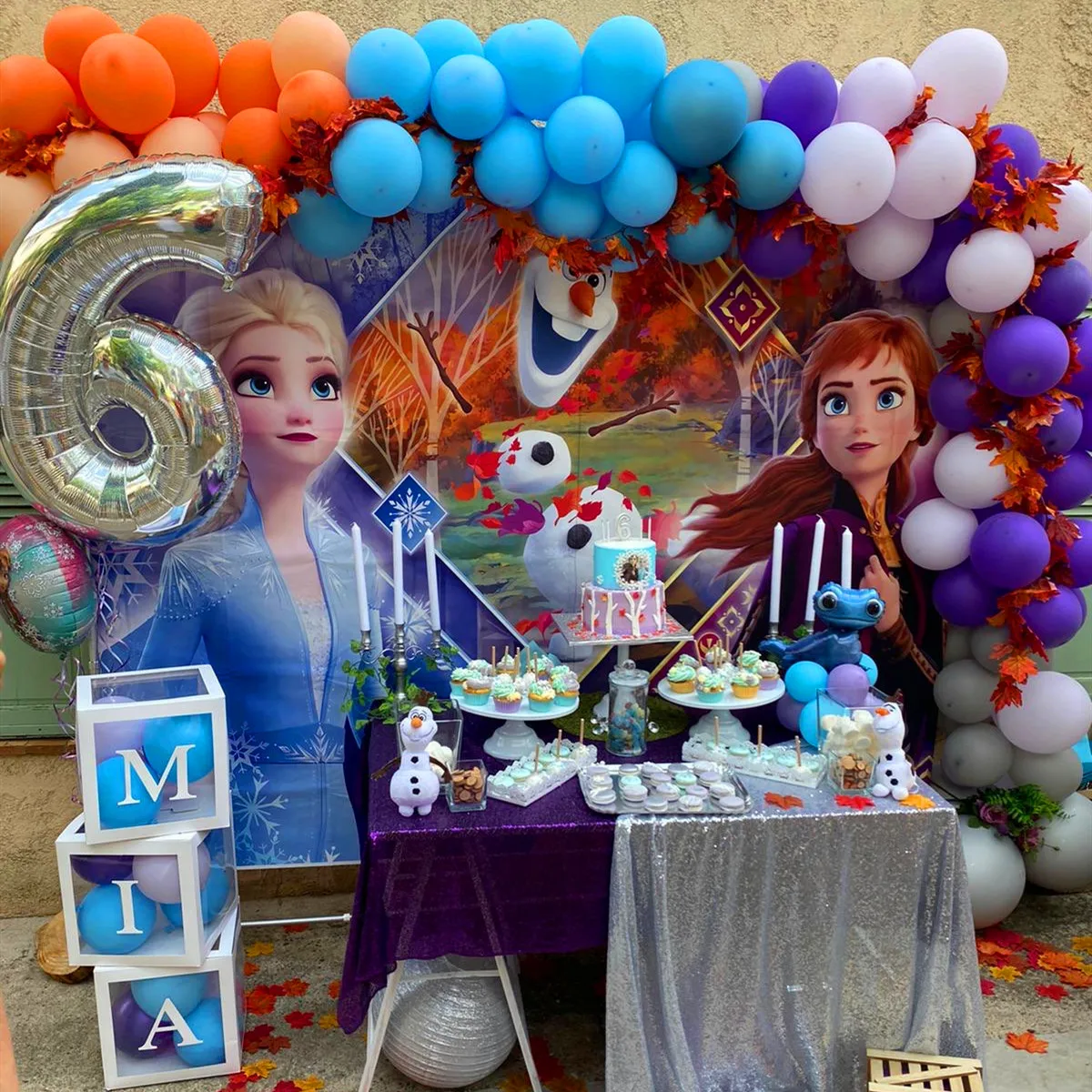 Frozen Elsa Anna Party Backdrop For Photography Snow Queen Birthday Party Customized Poster Portrait Photo Backdrop Photo Studio