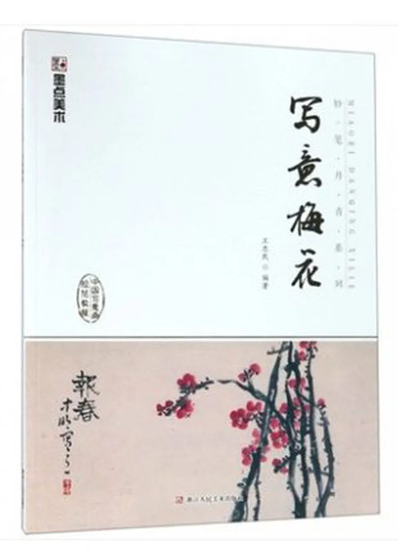 

Chinese freehand painting course xie yi flower Plum blossom drawing art book