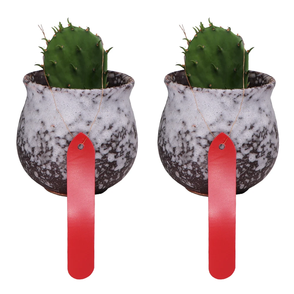 50PCS 1.8x10CM Plant Tags with 4MM Hole Garden Nursery Lables Plastic Pot Markers for Seed Trays Waterproof Reusable Herb Flower view 4