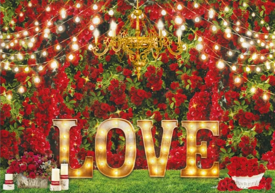 Đám Cưới Nền Đỏ Hoa Hồng Hoa Người Yêu Chụp Ảnh Chân Dung Cô Dâu Tắm Biểu Ngữ Ảnh Nền Lễ Tình Nhân Trang Trí