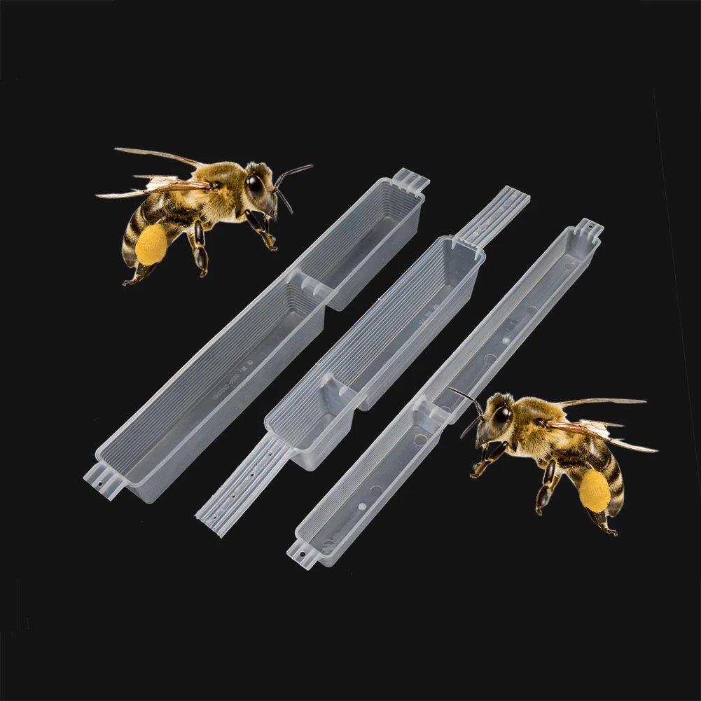 1PCS bee feeder plastic 0.6kg to 1.5 kg feeding honey feeding box bee beekeeper beekeeping tools beekeeping equipment supplies