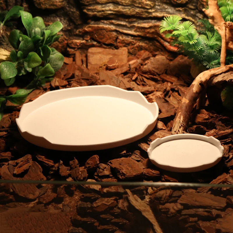 

Amphibious Reptile Feeder Spider Bird Plastic Reptile Feeding Basin Turtle Lizard Reptile Bowl Turtle Water Dispenser