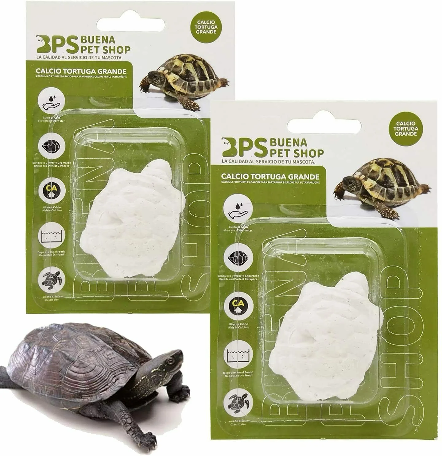 2 Pcs Bloque de Calcio para Tortugas Grande Natural Complemento Básico