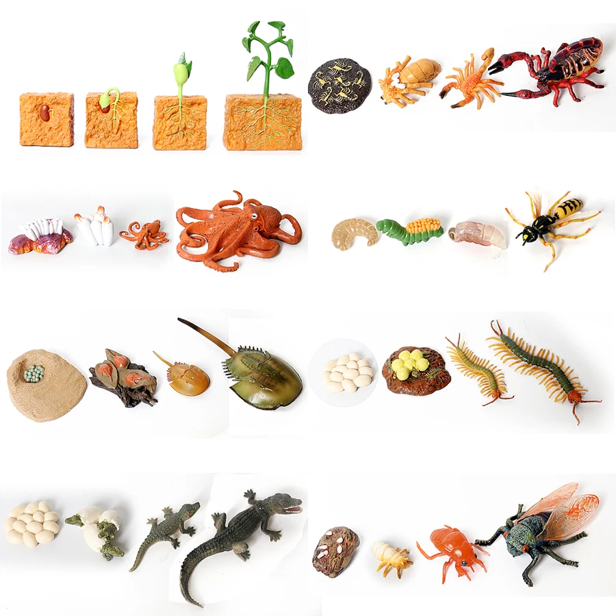 Simulation Green Bean,Cicada,Octopus,Centipede,Horseshoe crab,Crocodile,Scorpion,wasp Growth Cycle Model Figures Educational toy