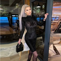 HIGH STREET Newest 2025 Designer Fashion Women's Long Sleeve Sexy Perspective Leopard Emboss Velvet Stretchy Dress