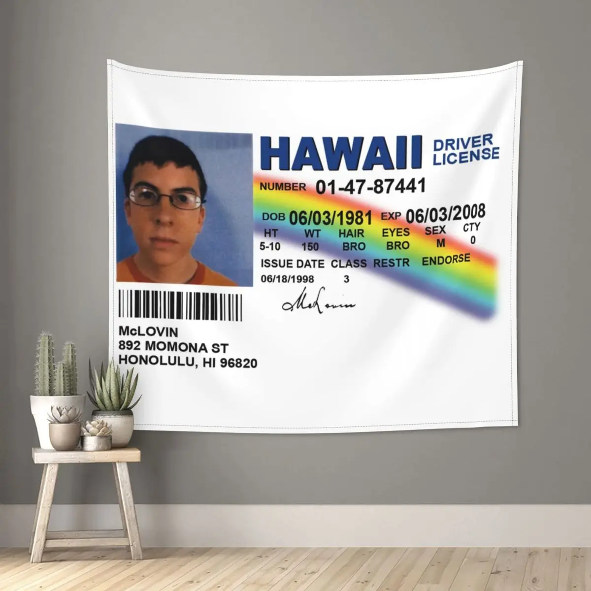 McLovin Tapestry Wall Hanging Printed Polyester Wall Tapestry Superbad Fake ID License Fantasy Blanket Wall Decor Wall Cloth