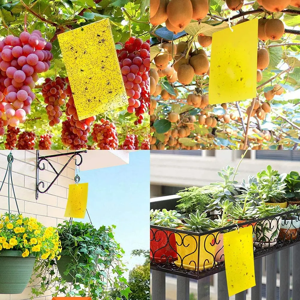 50 Sheets Yellow Fly Traps Bugs Sticky Board Dual-Sided Catching Aphid Insect Pest Control Whitefly Thrip Leafminer Glue Sticker