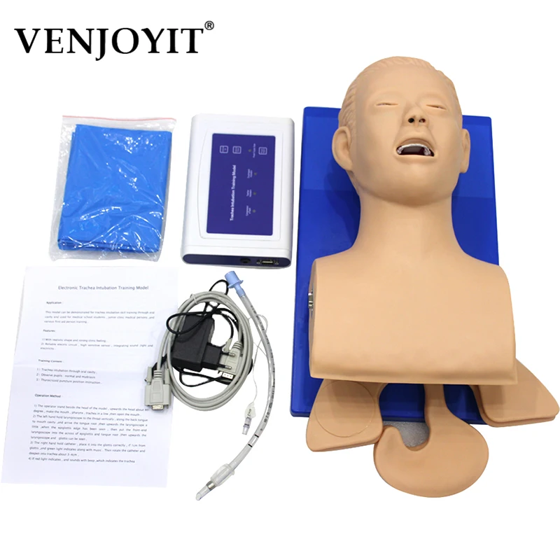 

Intubation Manikin Study Teaching Model Airway Management Trainer PVC With Teeth