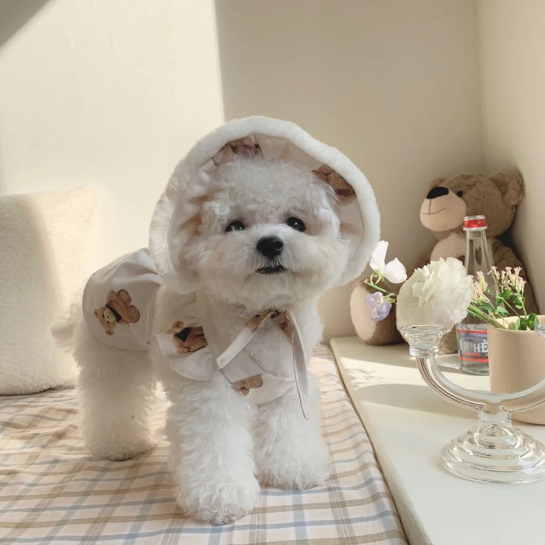 

Cute Bear Pattern Summer Dog Dress With Hat Dog Clothes Cotton Spring For Small Medium Pets Yorkshire Chihuahua Puppy Clothing