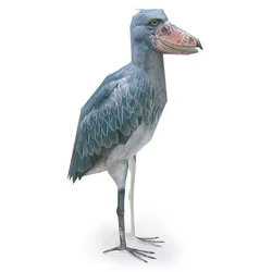 Shoebill Bird Paper Model Origami Art Realistic Animal Mini Cute 3D Papercraft DIY Kids Adult Handmade Craft Toys WE-054